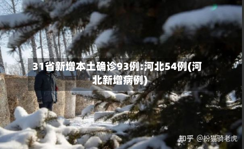 31省新增本土确诊93例:河北54例(河北新增病例)