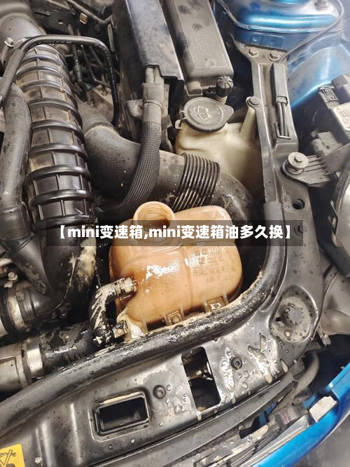 【mini变速箱,mini变速箱油多久换】-第2张图片
