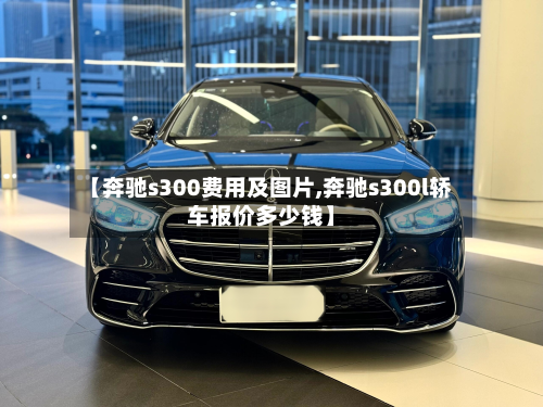 【奔驰s300费用及图片,奔驰s300l轿车报价多少钱】
