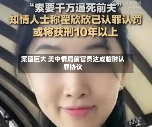 案值巨大 美中情局前官员达成临时认罪协议