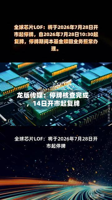 龙版传媒：停牌核查完成，14日开市起复牌-第3张图片