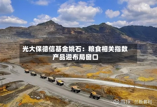 光大保德信基金姚石:粮食相关指数产品迎布局窗口-第2张图片