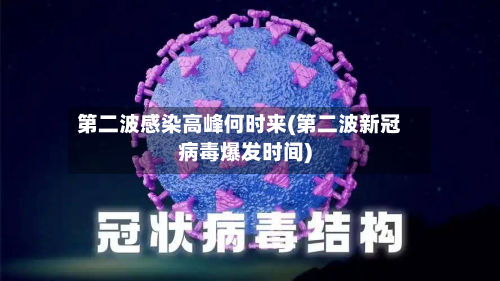 第二波感染高峰何时来(第二波新冠病毒爆发时间)-第2张图片
