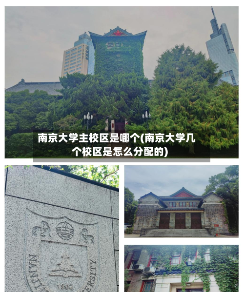 南京大学主校区是哪个(南京大学几个校区是怎么分配的)