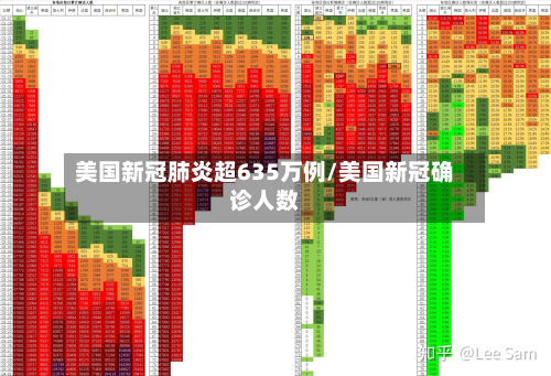 美国新冠肺炎超635万例/美国新冠确诊人数-第2张图片