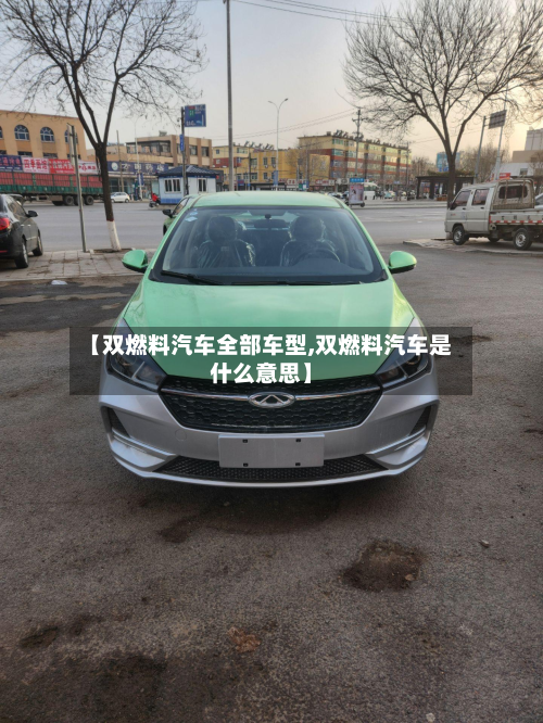 【双燃料汽车全部车型,双燃料汽车是什么意思】