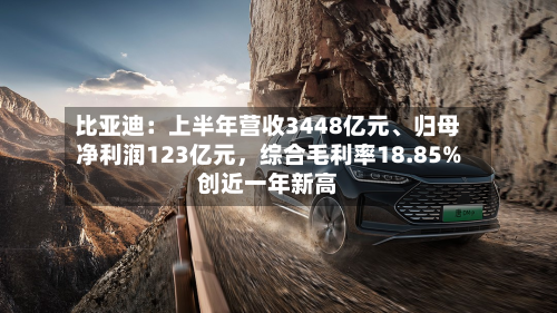 比亚迪：上半年营收3448亿元、归母净利润123亿元，综合毛利率18.85%创近一年新高