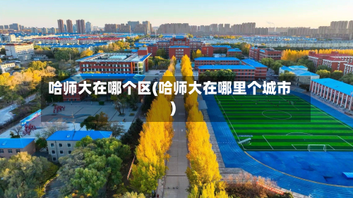 哈师大在哪个区(哈师大在哪里个城市)