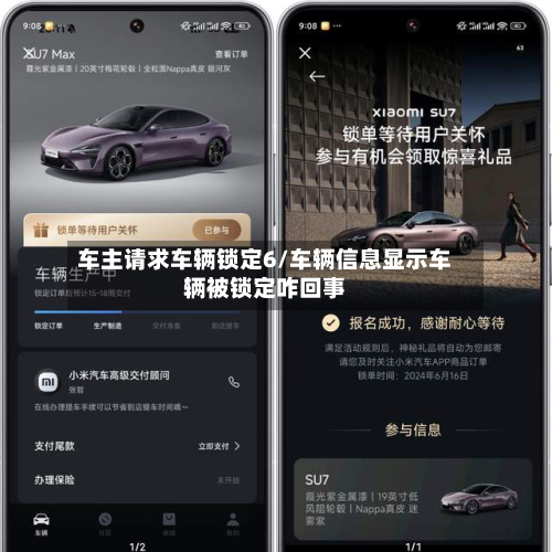 车主请求车辆锁定6/车辆信息显示车辆被锁定咋回事-第2张图片
