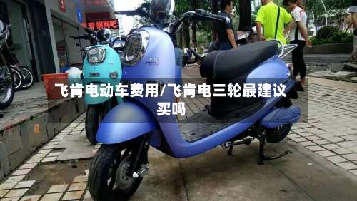 飞肯电动车费用/飞肯电三轮最建议买吗