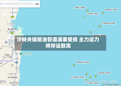 沙特关键输油管道遇袭受损 主力运力将停运数周-第3张图片