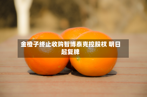 金橙子终止收购智博泰克控股权 明日起复牌-第2张图片