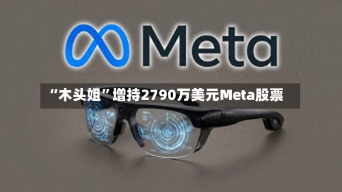 “木头姐”增持2790万美元Meta股票