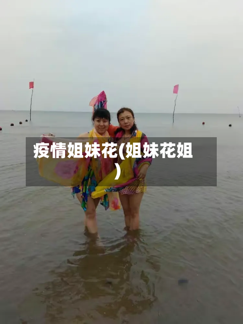 疫情姐妹花(姐妹花姐)