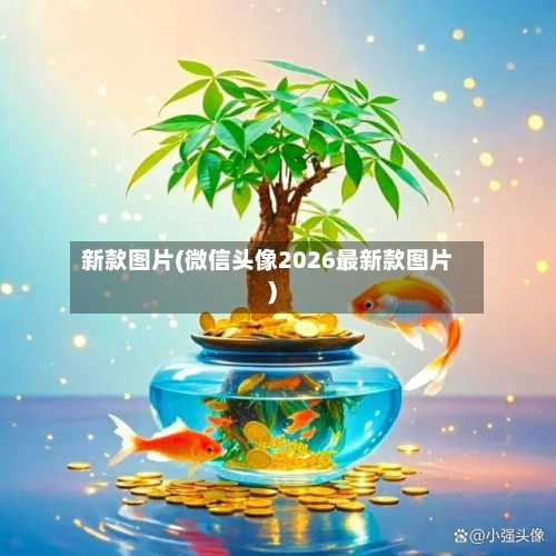 新款图片(微信头像2026最新款图片)