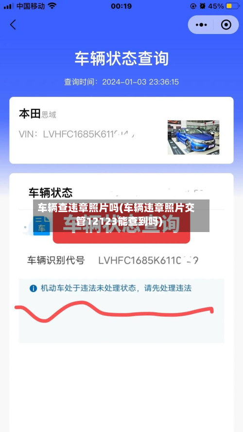 车辆查违章照片吗(车辆违章照片交管12123能查到吗)-第3张图片
