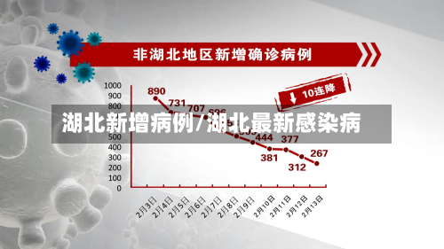 湖北新增病例/湖北最新感染病-第2张图片