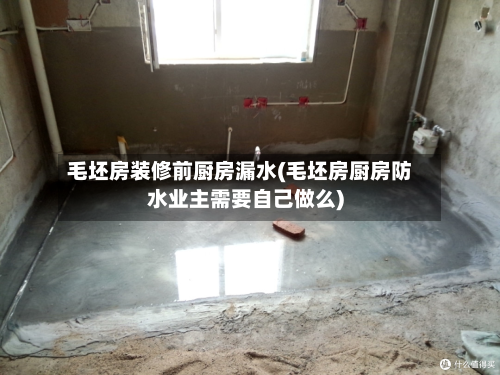 毛坯房装修前厨房漏水(毛坯房厨房防水业主需要自己做么)-第2张图片