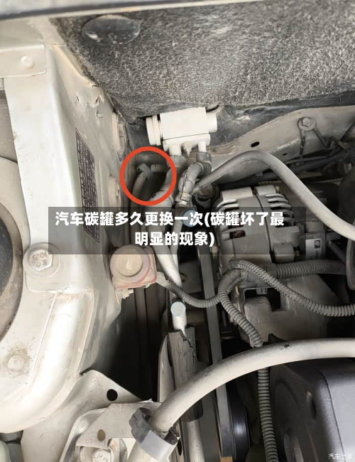 汽车碳罐多久更换一次(碳罐坏了最明显的现象)