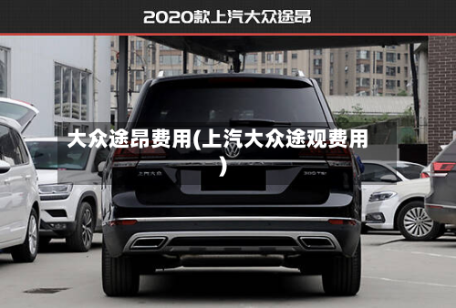大众途昂费用(上汽大众途观费用)