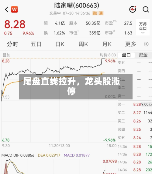 尾盘直线拉升，龙头股涨停