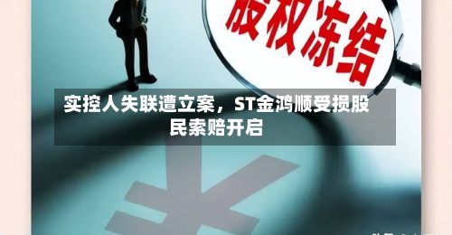 实控人失联遭立案，ST金鸿顺受损股民索赔开启-第2张图片