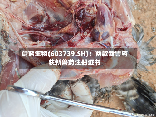 蔚蓝生物(603739.SH):两款新兽药获新兽药注册证书-第2张图片