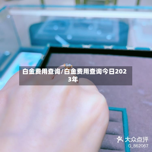 白金费用查询/白金费用查询今日2023年-第3张图片