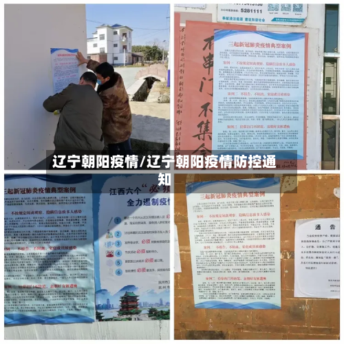 辽宁朝阳疫情/辽宁朝阳疫情防控通知-第3张图片