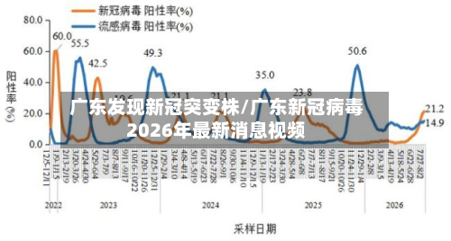 广东发现新冠突变株/广东新冠病毒2026年最新消息视频-第2张图片