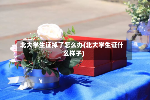 北大学生证掉了怎么办(北大学生证什么样子)-第3张图片