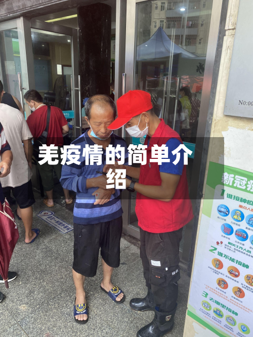 羌疫情的简单介绍