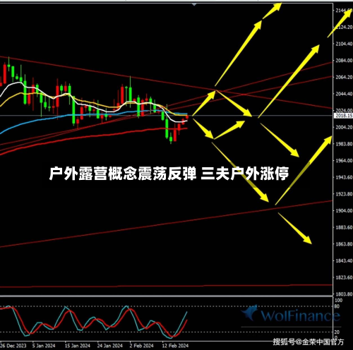 户外露营概念震荡反弹 三夫户外涨停-第2张图片