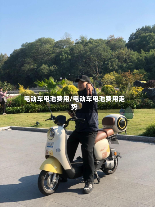 电动车电池费用/电动车电池费用走势-第3张图片