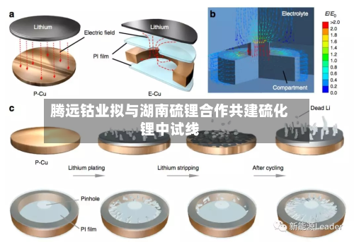 腾远钴业拟与湖南硫锂合作共建硫化锂中试线-第1张图片