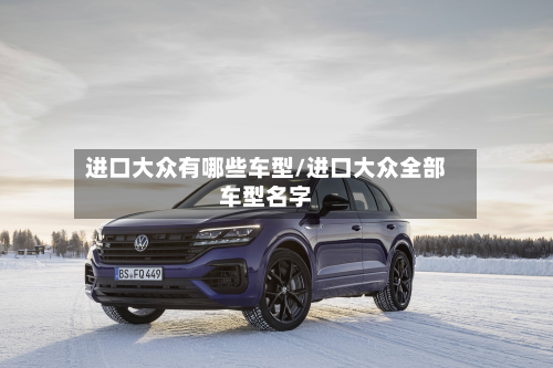 进口大众有哪些车型/进口大众全部车型名字