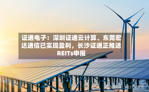 证通电子：深圳证通云计算、东莞宏达通信已实现盈利	，长沙证通正推进REITs申报-第2张图片