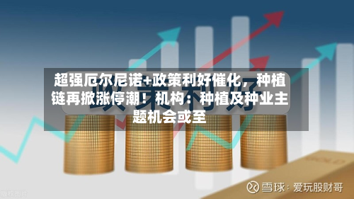 超强厄尔尼诺+政策利好催化，种植链再掀涨停潮！机构：种植及种业主题机会或至-第3张图片
