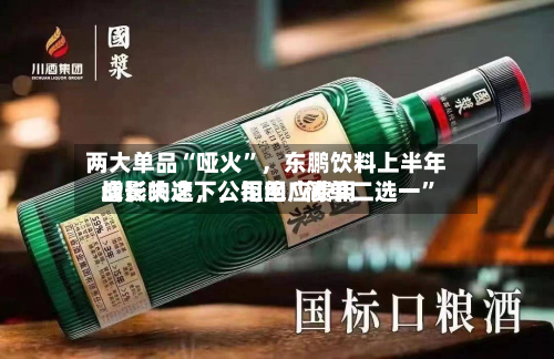 两大单品“哑火	”，东鹏饮料上半年增长失速，公司回应费用战影响之下，拒绝“简单二选一”-第3张图片