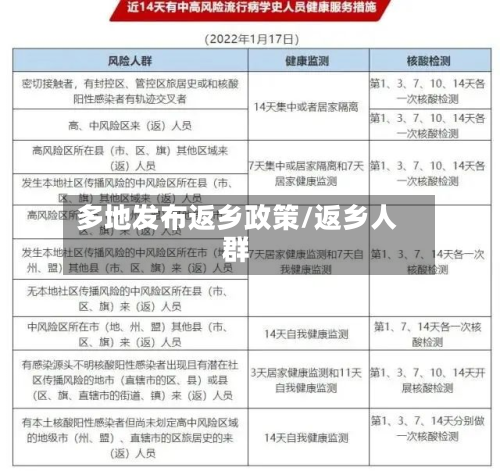多地发布返乡政策/返乡人群
