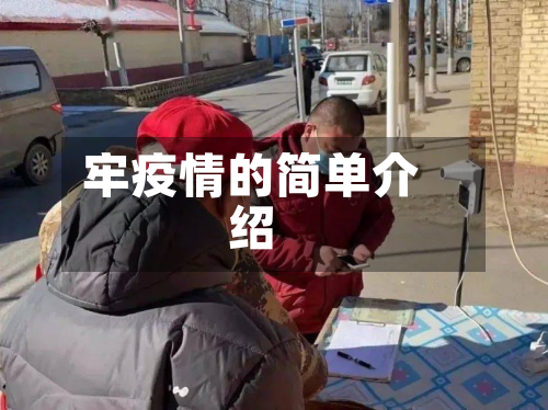 牢疫情的简单介绍