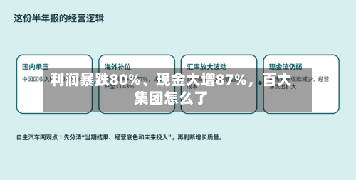利润暴跌80%、现金大增87%，百大集团怎么了-第3张图片