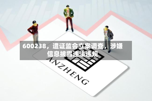 600238，遭证监会立案调查，涉嫌信息披露违法违规-第3张图片