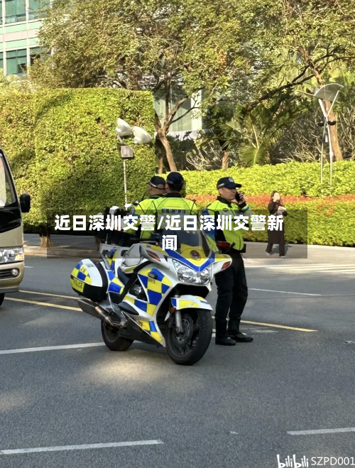 近日深圳交警/近日深圳交警新闻