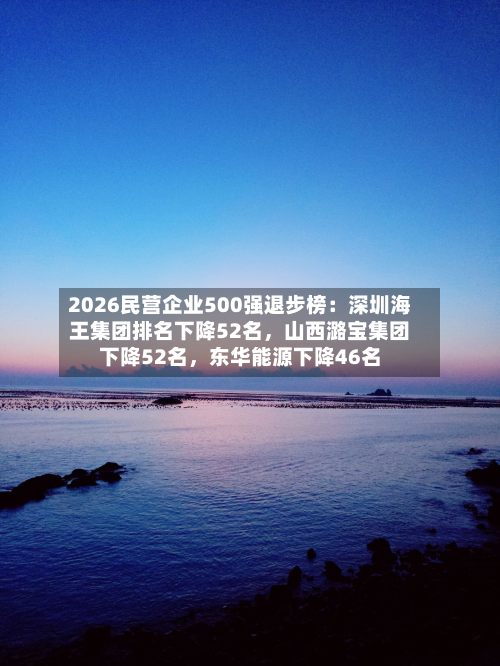 2026民营企业500强退步榜：深圳海王集团排名下降52名	，山西潞宝集团下降52名，东华能源下降46名-第2张图片