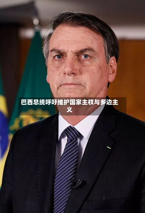 巴西总统呼吁维护国家主权与多边主义