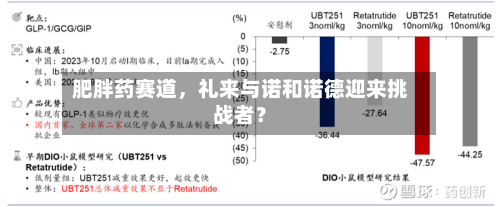 肥胖药赛道	，礼来与诺和诺德迎来挑战者？-第1张图片