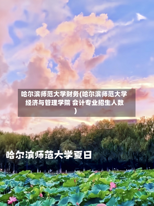 哈尔滨师范大学财务(哈尔滨师范大学 经济与管理学院 会计专业招生人数)-第2张图片