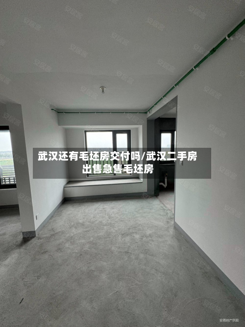 武汉还有毛坯房交付吗/武汉二手房出售急售毛坯房