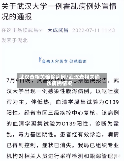 武汉查相关确诊病例/武汉查相关确诊病例情况-第2张图片